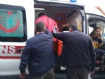 Bonzai içen genç, hastanelik oldu