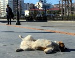 Samsun’da yazdan kalma bir gün