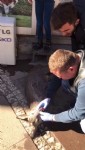 Yaralı karacayı köpeklerden kurtardılar
