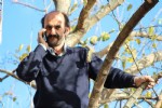 Telefon çeksin diye ağaca çıkıyorlar
