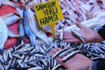 Hamsi kaçtı, fiyatlar fırladı