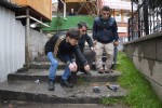 Niksar’da şüpheli kuş ölümleri