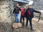Yaralı dağ keçisini kurtarma mücadelesi