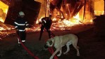 Palet fabrikası alev alev yandı
