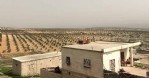 Afrin'den Başkan Togar'a selam