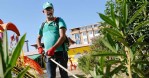 İlkadım'da bahar temizliği