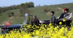 Kurtuluş Yolu'nda sona yaklaşıldı
