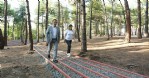 Meşe Orman Park büyüyor