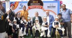 Tekkeköy'de sünnet coşkusu