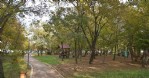 OMÜ 'yeşil kampüs' olacak