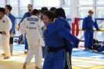 Judo Milli Takımları Son Hazırlıklarını Yaptı