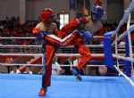 Türkiye Kick Boks Şampiyonası Başladı