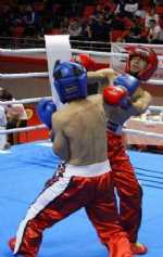 Türkiye Kick Boks Şampiyonası Başladı