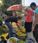Bavul Ticaretinin Yerini Meyve Ticareti Aldı