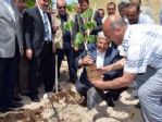 90 Bin Tl Değerindeki Aşılı Ceviz Projesinin İlk Adımı Atıldı