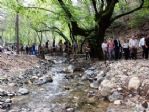 Geyik Kanyonunda Geyik Üretilecek