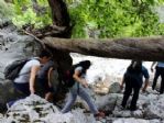 Geyik Kanyonunda Geyik Üretilecek