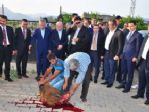 Başbakan Yardımcısı Bülent Arınç Şırnak’ta
