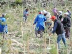 Aski’den Her Aboneye Bir Fidan Kampanyası