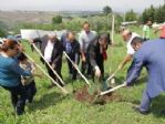 Başiskele’ye 4 Bin Ağaç Dikildi