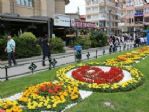 Eskişehir Çiçek Bahçesi Gibi