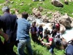 Çatak’ta Dereye Düşerek Kaybolan Kadının Arama Çalışmaları Devam Ediyor