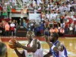 Türkiye Basketbol Ligi