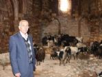1500 Yıllık Tarihi Manastır Ahır Oldu