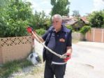 Erzincan’da Yılan Korkusu