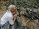 Bayan Noter Ömrünü Sokak Köpeklerine Adadı