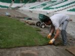 Timsah Arena’da Çim Serme İşlemine Başlandı