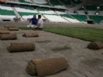 Timsah Arena’da Çim Serme İşlemine Başlandı
