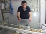Balık Fiyatları Düştü, Satışlar Arttı