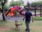 Parkta Narkotik Köpekli Uyuşturucu Uygulaması
