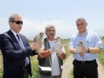 Canlı Mühre Olarak Kullanılan Keklikler Doğaya Bırakıldı