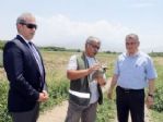 Canlı Mühre Olarak Kullanılan Keklikler Doğaya Bırakıldı