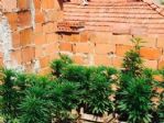 Balıkesir’de Uyuşturucu Operasyonu: 9 Gözaltı