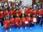 Milli Tekvandocular Avrupa Şampiyonu