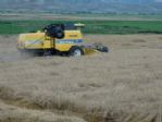 Yozgat’ta Hububat Hasadı Başladı