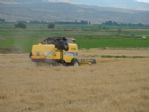 Yozgat’ta Hububat Hasadı Başladı
