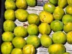Ödemiş’te Sezonun İlk İnciri Çıktı