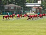Ptt 1. Lig