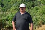 Bafra Ovası’nda Buğday Hasadı Başladı