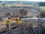Tarla Yangını Ormana Sıçradı