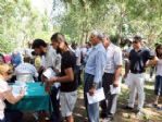 Bozuk Orman Arazisi 31 Parsel İçin Bin 283 Başvuru