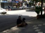Dilenciler Her Yerde