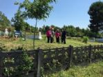 Saltukova’da Mezarlıkların Temizliğine Başlandı