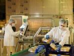 Halk Ekmek Fabrikası 160 Kişilik Dev Üretim, Dağıtım Ekibiyle Hizmet Veriyor