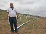 (özel Haber) Güneş Panelleriyle Ürettiği Elektriği Devlete Satacak
