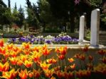 Bayram Öncesi Mezarlıkları Temizlendi